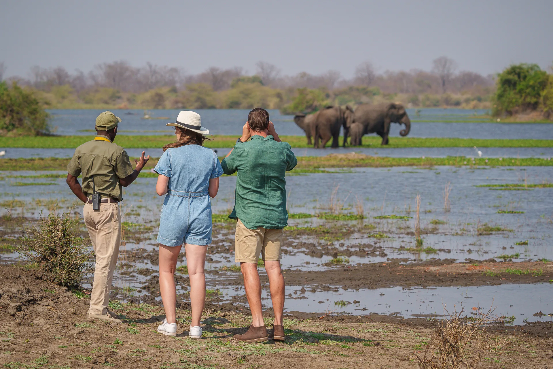 Family and Group Tours